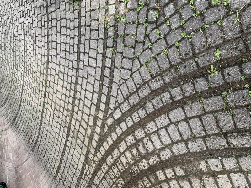 Sauberer Pflasterweg als Referenzprojekt